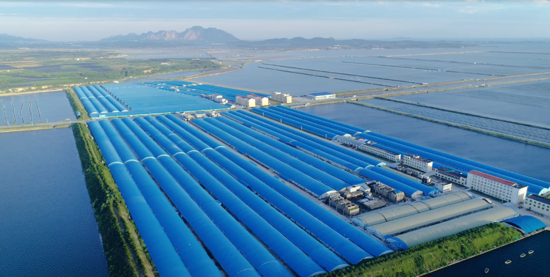 202106261731561762.png 202106261731561762.png